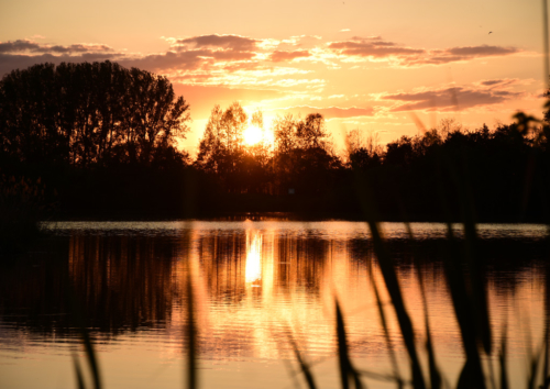 Sonnenaufgang am See