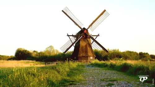 Wedelfelder Wassermühle, Sande/Friesland