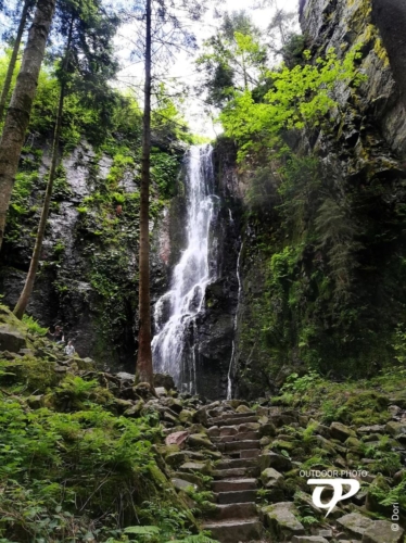 Wsserfall im Wald Felsenland