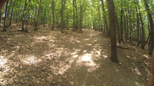 Soonwaldsteig Kirn-Bingen 