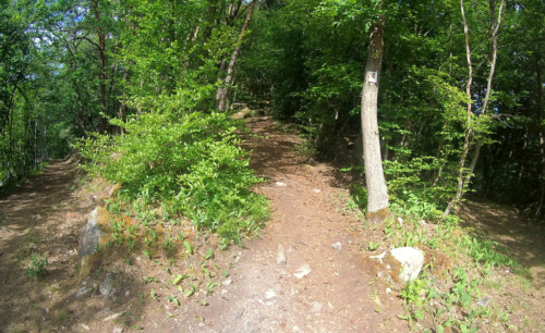Soonwaldsteig Kirn-Bingen Soonwaldsteig_anstrengender-aufstieg-richtung-alteburg