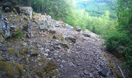 Soonwaldsteig_aufstieg-richtung-alteburg-steindurchsetzter-weg