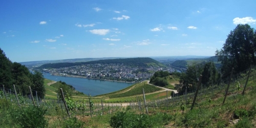 Rheinblick auf Soonwald